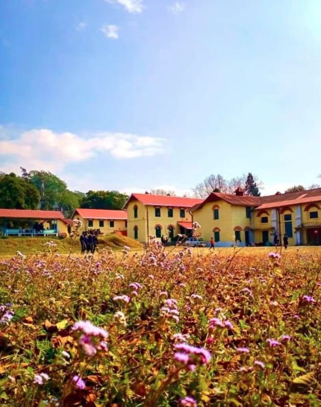 School building at Dr Graham's Homes behind September wildflowers